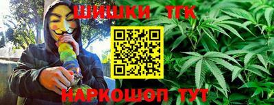 спиды Гатчина