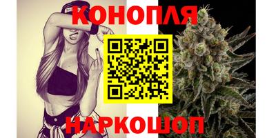 спиды Гатчина