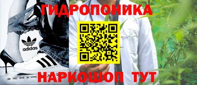 кокс Гай