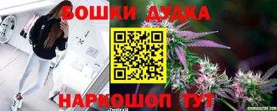 спиды Гатчина